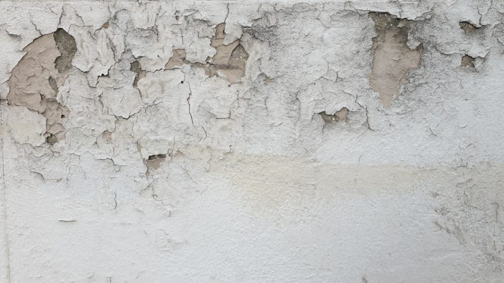 Condensation sur un mur intérieur — peinture dégradée par l’humidité