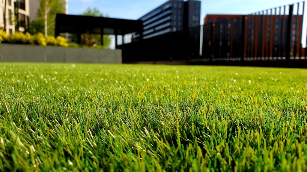 Jardinier préparant une pelouse avant scarification