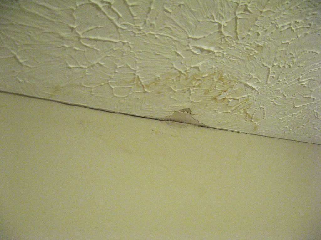Trace de dégât des eaux au plafond à photographier avant réparation