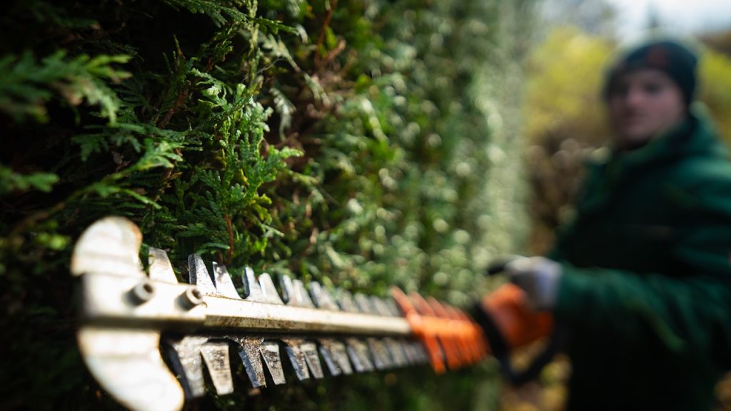 Taille-haie à batterie utilisé pour tailler une haie au jardin